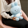 San-x Pokantotan Casual Outing Plush Toy 33cm