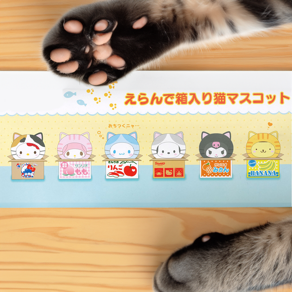 Sanrio Characters Cat Doll Blind Box