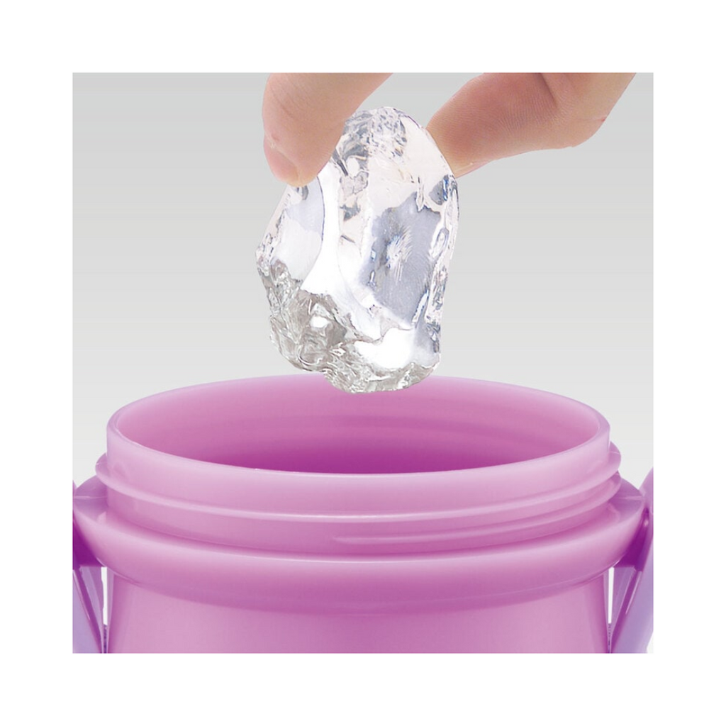 Skater Disney Princess Rapunzel Water Bottle 480ml