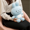 San - x Pokantotan Casual Outing Plush Toy 33cm - Twinkle Glory