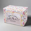 Sanrio Characters Folding Storage Case With Window