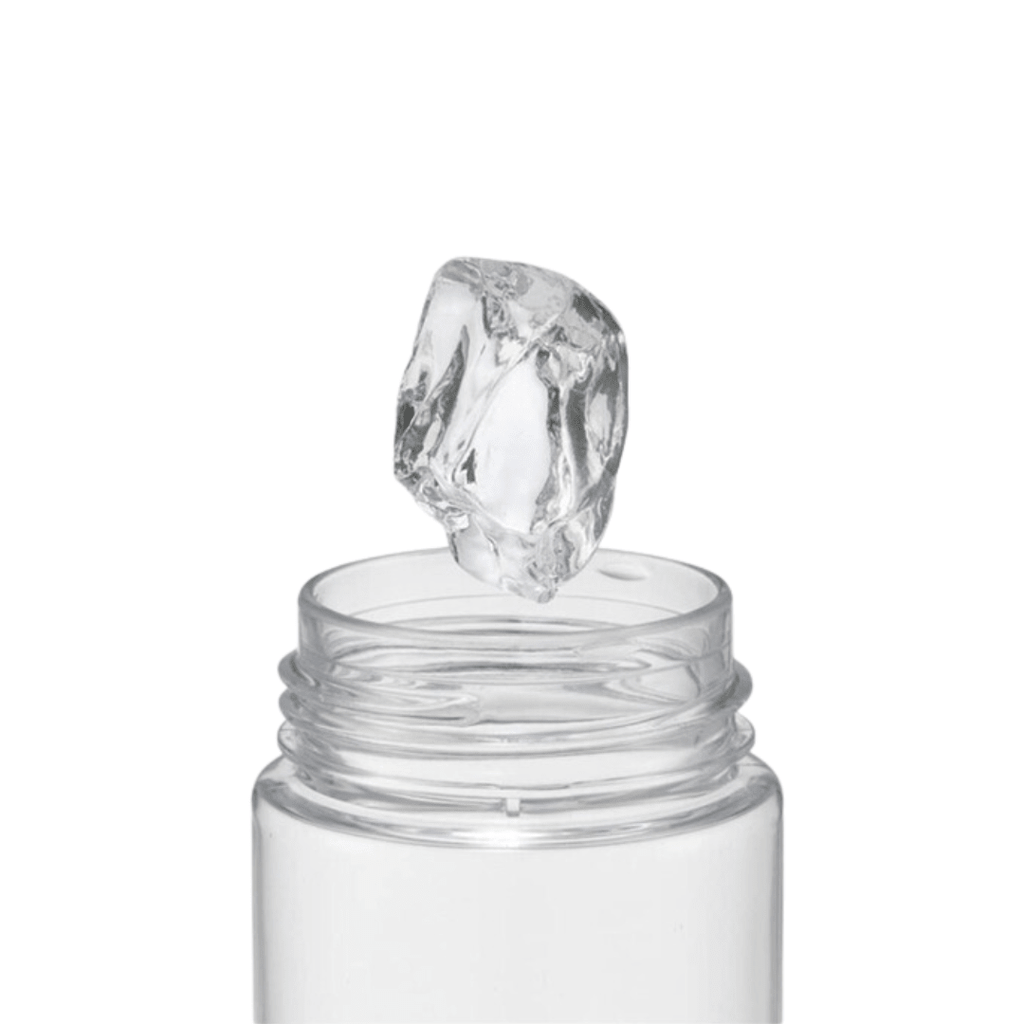 Skater Disney Chip 'n Dale Retro Water Bottle 400ml - Twinkle Glory