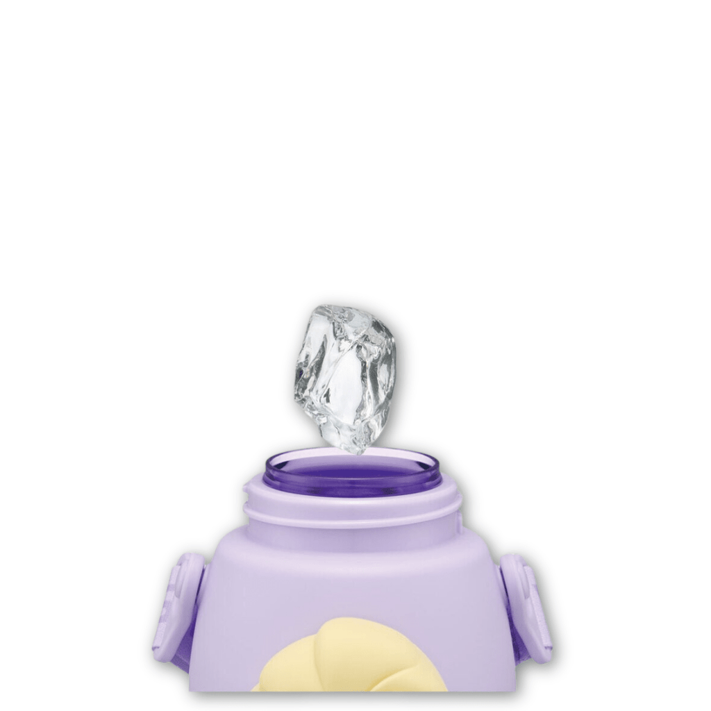 Skater Disney Princess Frozen Elsa Water Bottle 590ml - Twinkle Glory