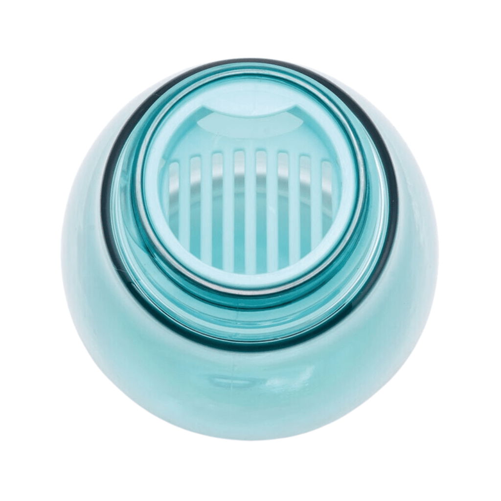 Skater Disney Princess The Little Mermaid Ariel Turquoise Bottle 500ml - Twinkle Glory