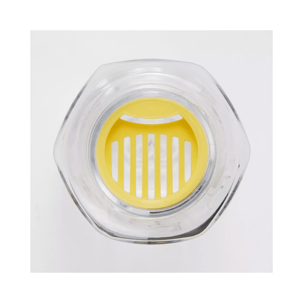 Skater Disney Winnie The Pooh Hexagonal Water Bottle 350ml - Twinkle Glory