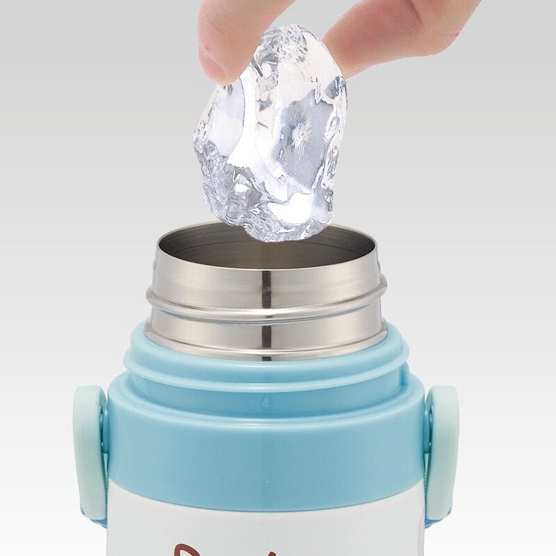 Skater Pokémon IX Characters Thermos Bottle with Locking Lid and Cup 470ml - Twinkle Glory