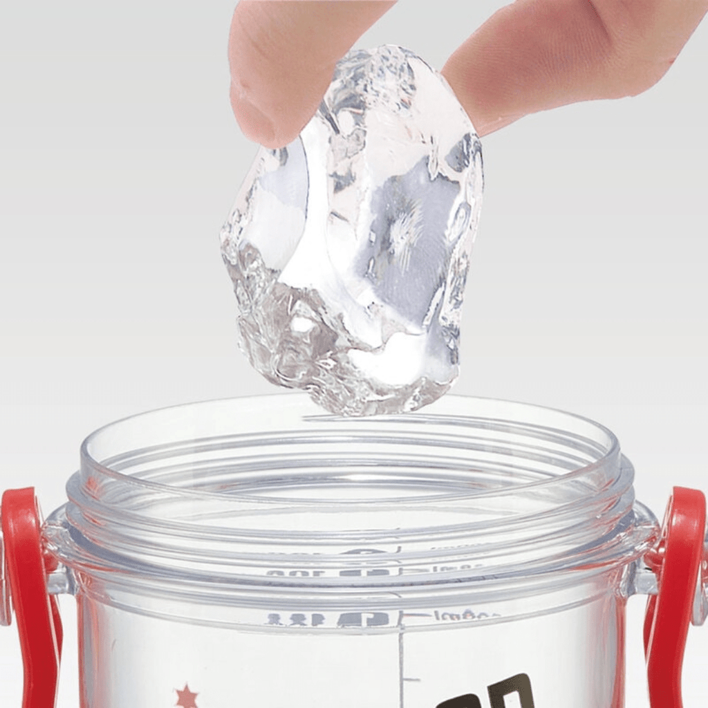 Skater Pokémon Water Bottle 480ml - Twinkle Glory