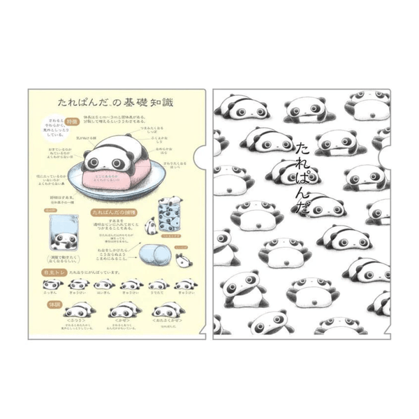 Tarepanda A4 Plastic Document Holder File 2pcs - Twinkle Glory