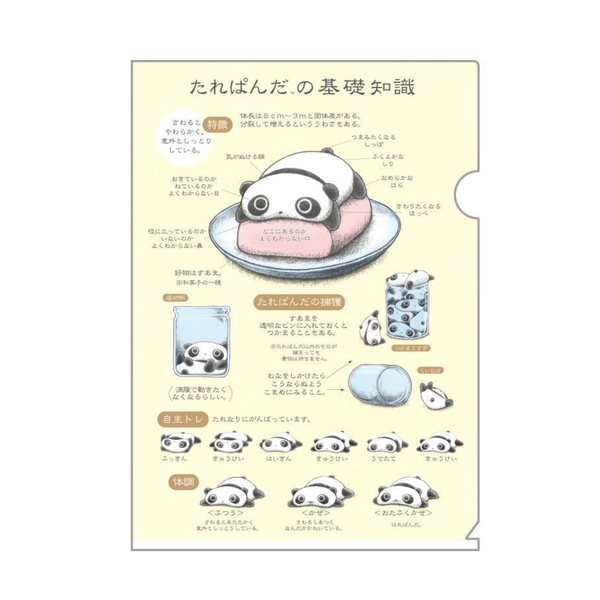 Tarepanda A4 Plastic Document Holder File 2pcs - Twinkle Glory