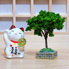 Twinkle Glory Yakushigama porcelain lucky cat figurine holding a golden orb next to a miniature green tree model