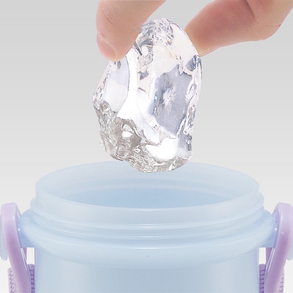 Skater Disney Frozen Water Bottle 480ml